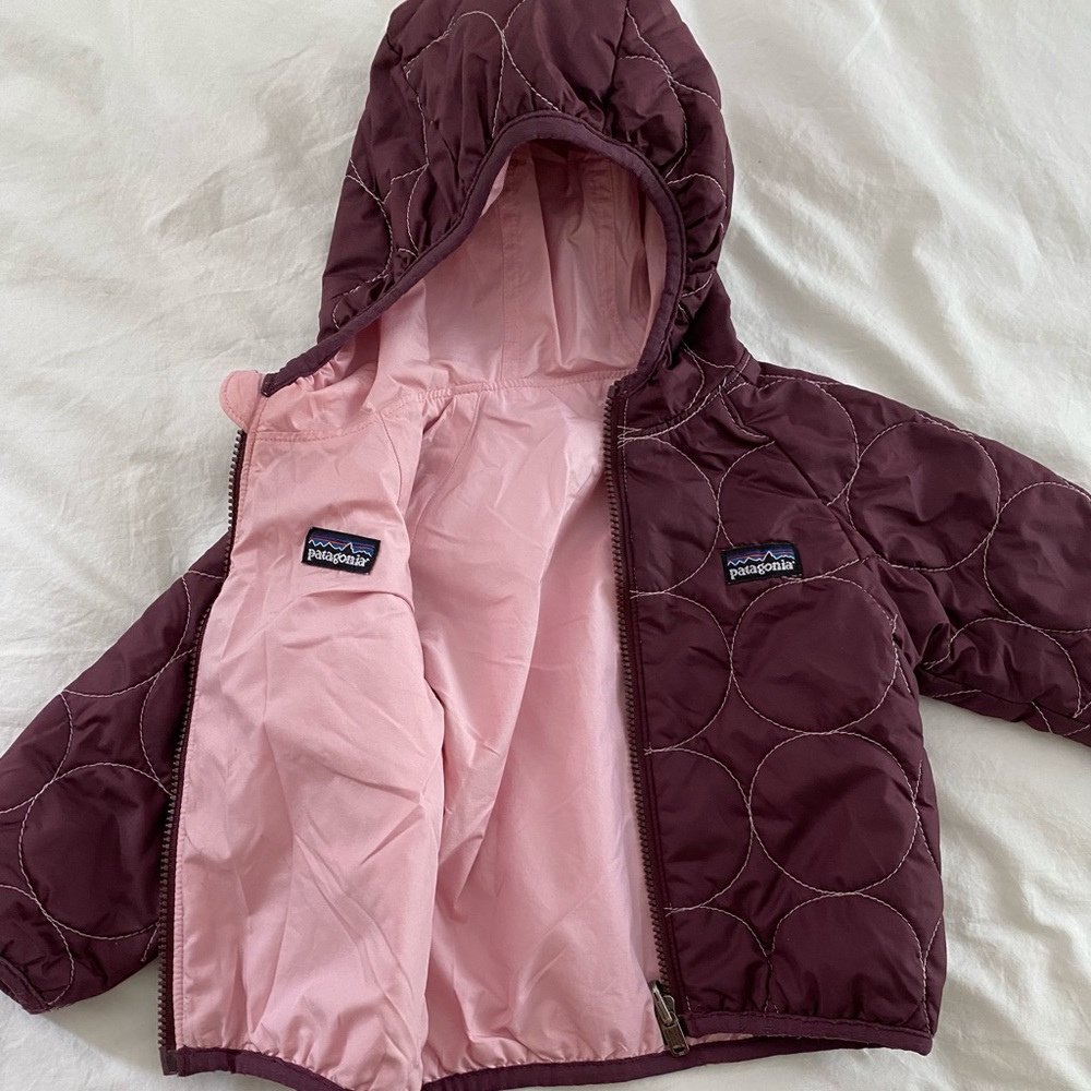 Patagonia Reversible Jacket
